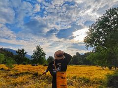-塔川景区