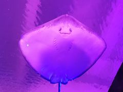 -波塞冬旅游度假区