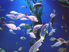 -成都浩海立方海洋公园