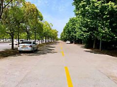 -胜华驾校·小猫学车(银都店)