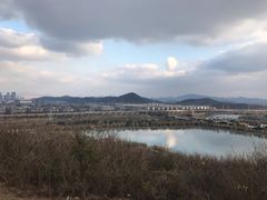 -羊山湖公园