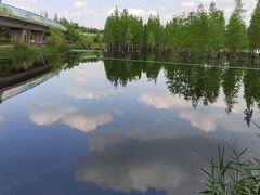 -白鹭湾湿地公园