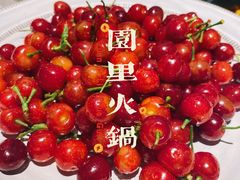 -园里火锅(仁和新城店)