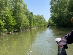 -洛阳市隋唐城遗址植物园