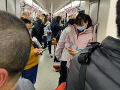 -大龙山(地铁站)