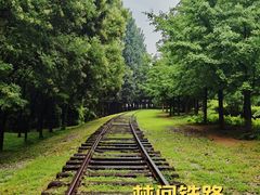 -将府公园