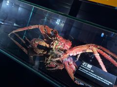 -同济大学四平路校区深海探索馆