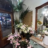 花园餐厅最美的还是小筑里神秘与浪漫