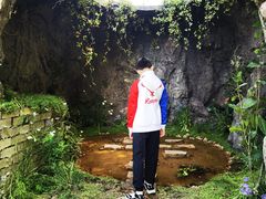 -上海鲜花港