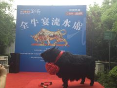 IMG_0261-许府牛火锅(信义坊总店)