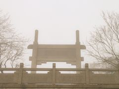 -紫金山山顶公园