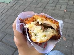 -半月镰胡姐脆皮萝卜饺子