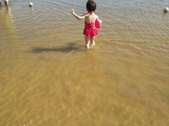 -碧海金沙