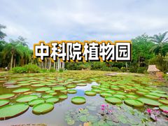 -中国科学院西双版纳热带植物园