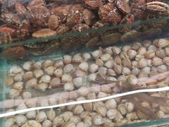 -南戴河海滨市场