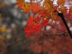 -本溪关山湖风景区