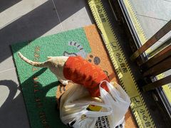 -PETKIT 小佩宠物·德文赛凯猫舍