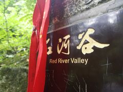 -陕西省红河谷森林公园