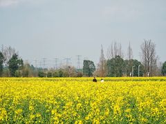 -中国天府农业博览园