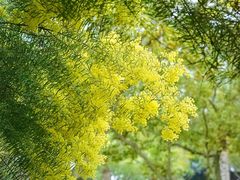 -厦门国家会计学院