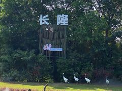 -广州长隆飞鸟乐园