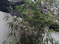 -豫园
