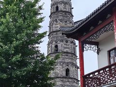 -上海佘山国家森林公园天马山园