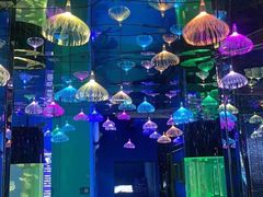 -沙沙哗啦海洋馆(华宇百花谷店)