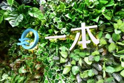 -一本X目奈子日式单根美睫专业店