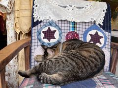 -恋物百货商店(华侨城店)