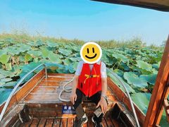 -白洋淀景区