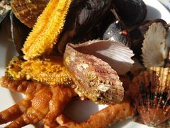 -淄博蓝海国际大饭店·蓝钻国际美食自助百汇(柳泉路店)