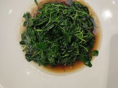 -金美华轩(东方路齐鲁店)