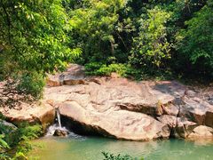 -广州白江湖森林公园