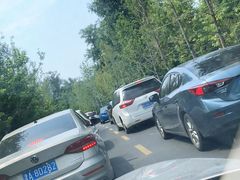 -秦皇岛野生动物园