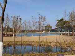 -上海长兴岛郊野公园