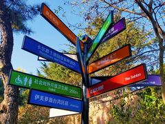 -八大关景区