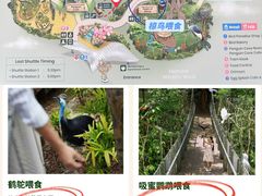 -新加坡飞禽公园