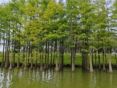 -苏州太湖国家湿地公园