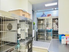 -康爱犬猫诊所·牙专科·骨外科·影像内科(丰宁店)