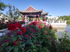 -西海子公园