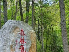 -洛阳白云山景区