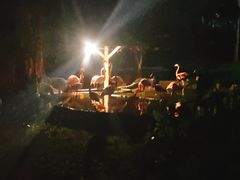 -清迈夜间动物园