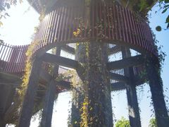 -芒洲湿地公园