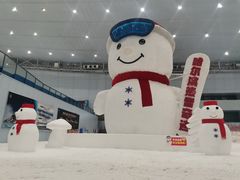 -哈尔滨热雪奇迹