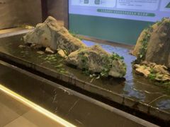 -三谷里·生态水疗空间(五一店)