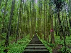 -武陵山森林公园