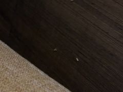 -南京商茂国际酒店(新街口德基广场店)