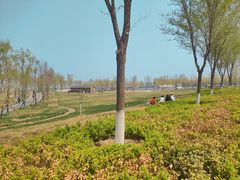 -白洋淀风景区