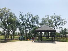 -菊园百果园
